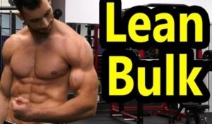 3329-lean-600x351-1.jpg Advanced Steroid Cycles II C Lean Bulking